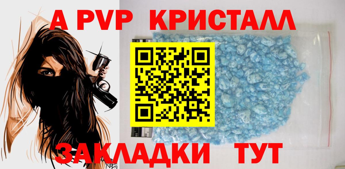 A PVP СК Камышин