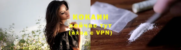 винт Калининец