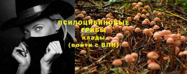дурь Надым