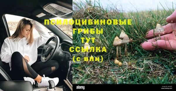 шишки Артём