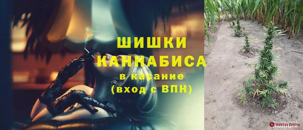 дурь Надым