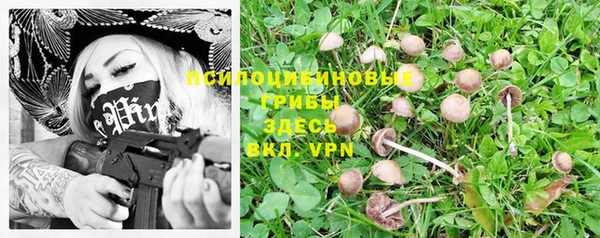 амф Ачинск