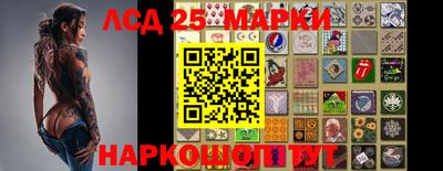 прущие грибы Берёзовский