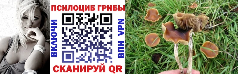 Галлюциногенные грибы мухоморы Камышин