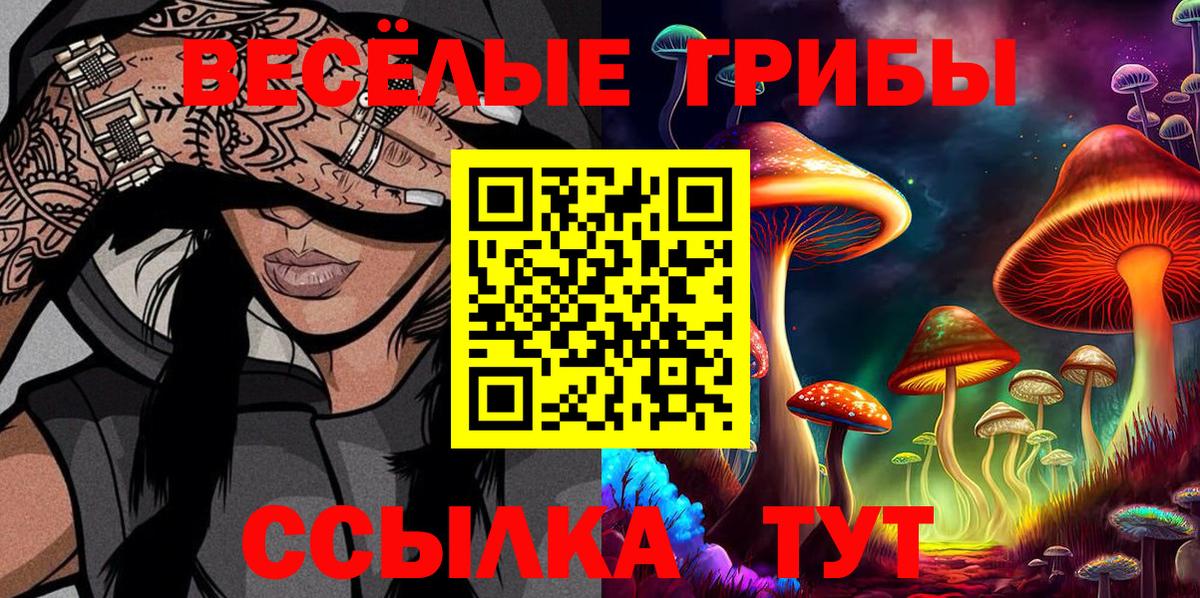 Псилоцибиновые грибы GOLDEN TEACHER Камышин