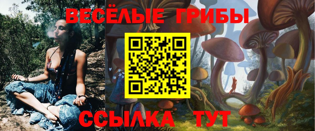 Псилоцибиновые грибы ЛСД  где найти   Камышин 