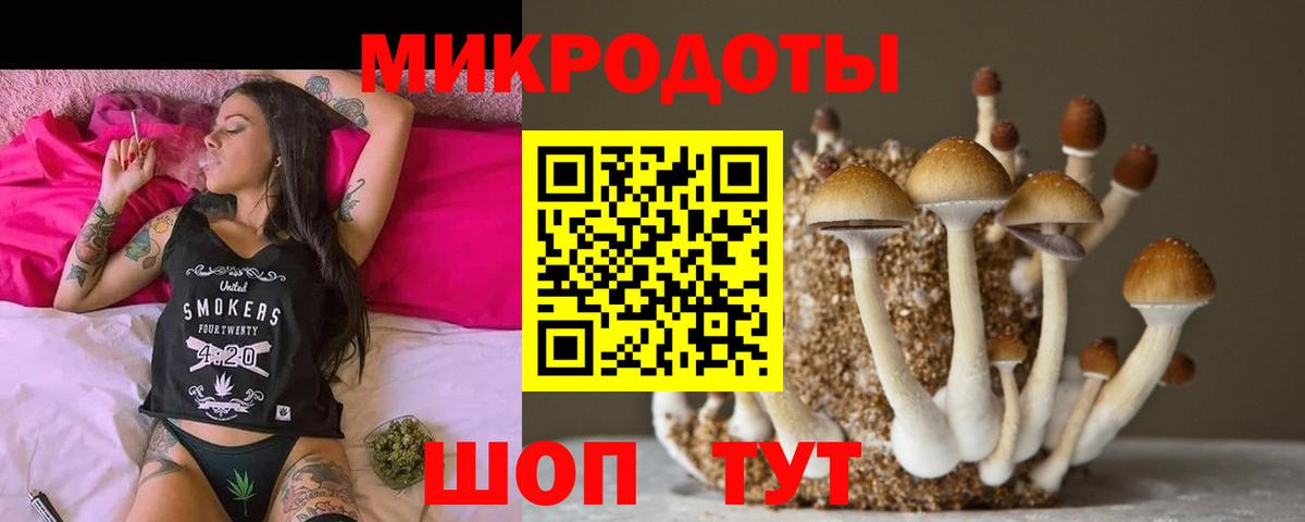 Псилоцибиновые грибы Psilocybe Камышин