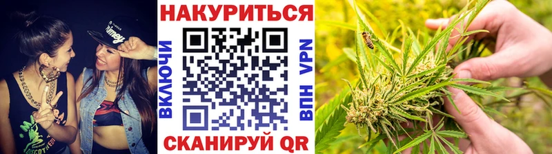 Бошки Шишки конопля Камышин